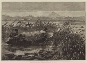 Schieten op watervogels op het Meer van Mirambala, Afrika